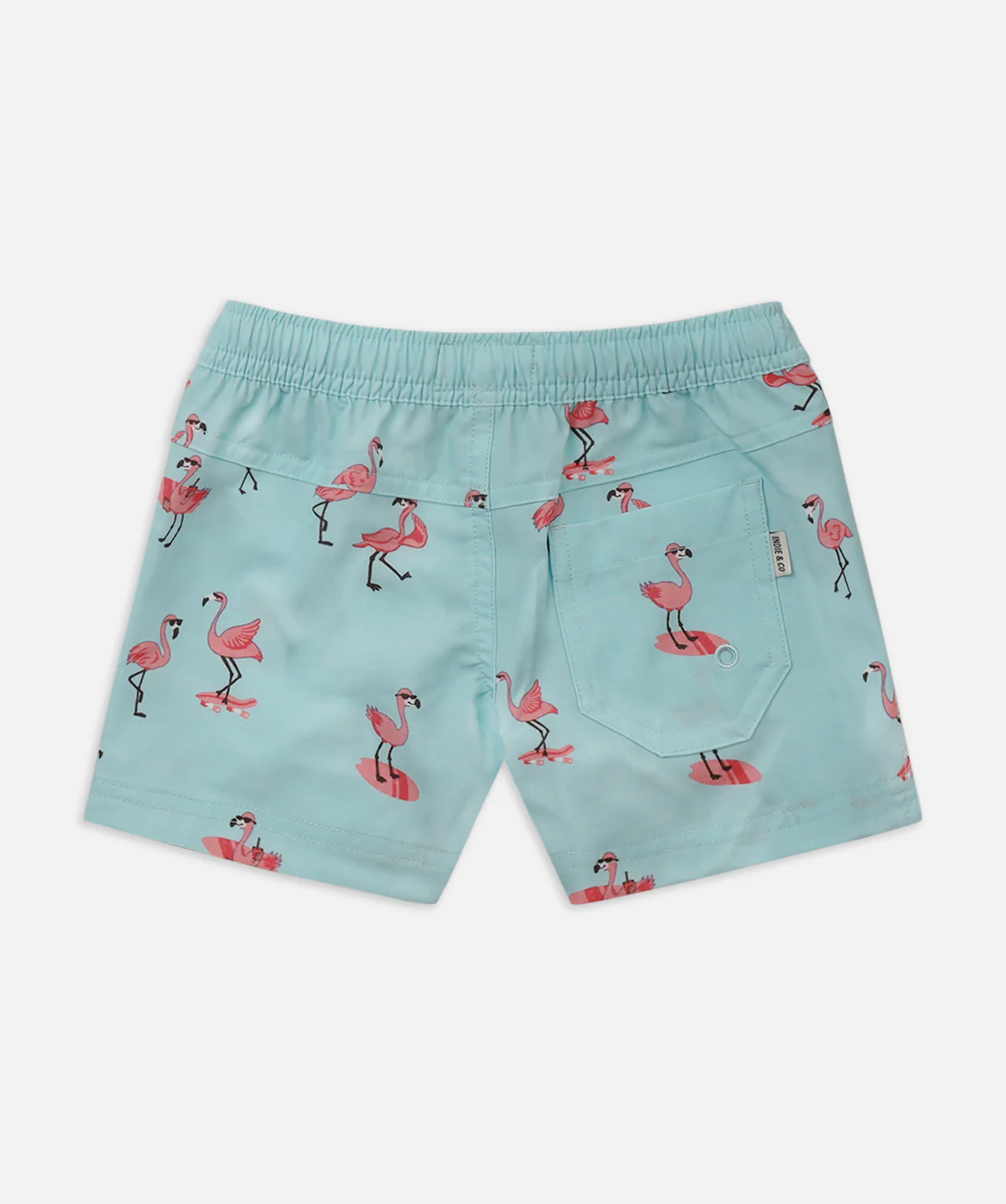 The Florida Trunk - Cyan - Image 4