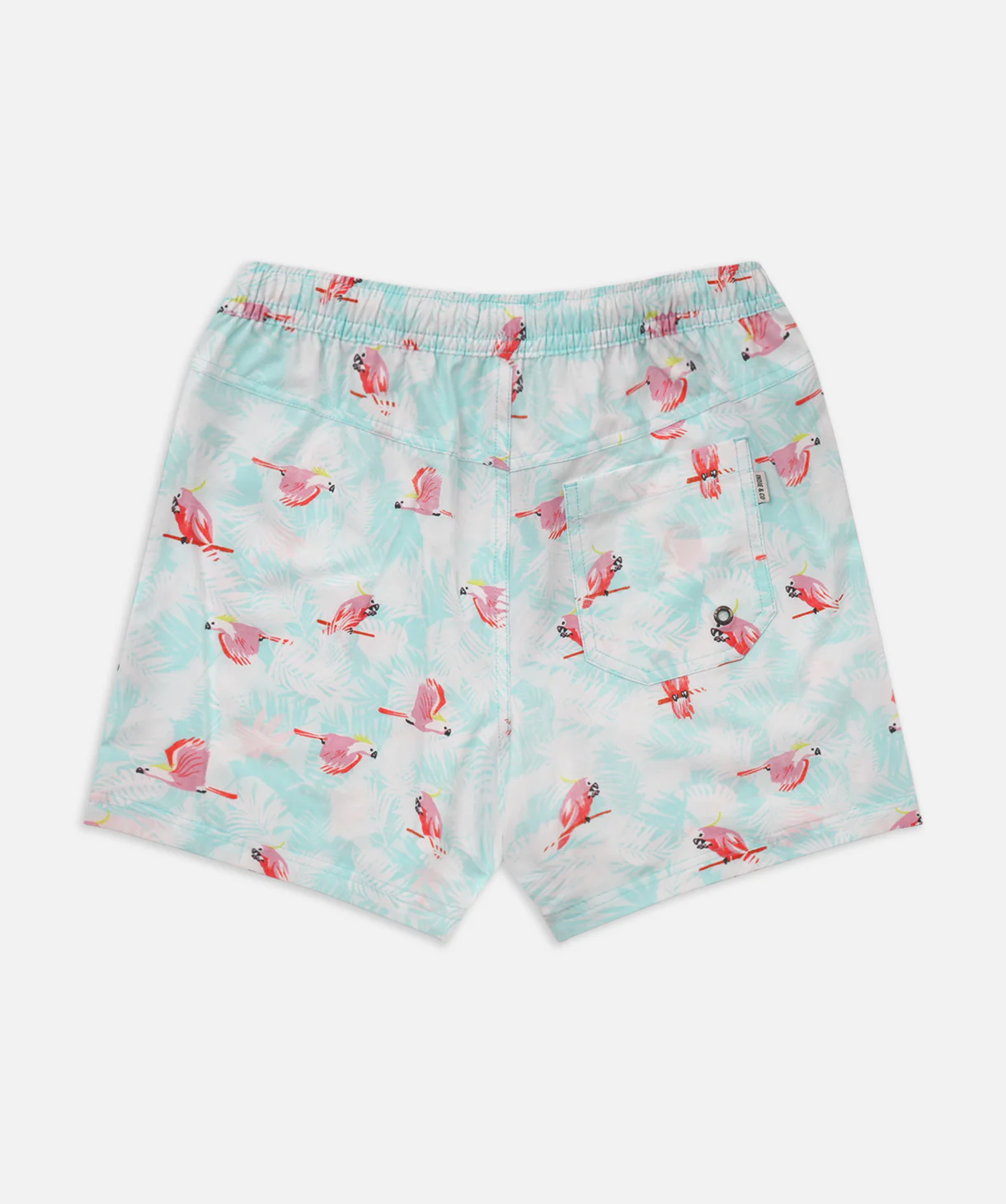 The Tampa Swim Short - Teal Combo - Image 4
